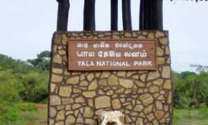 யால தேசிய பூங்காவுக்குப் பூட்டு
