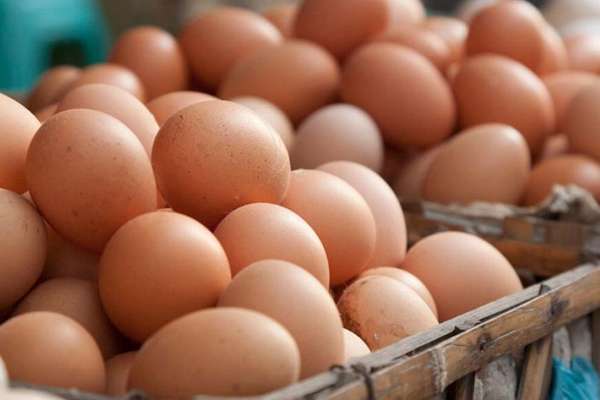வவுனியாவில் முட்டை வாங்குவதில் கவனம்