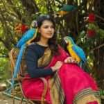 கிளியிருக்க குரங்கு பிடித்தவர்மீது கத்திக்குத்து!