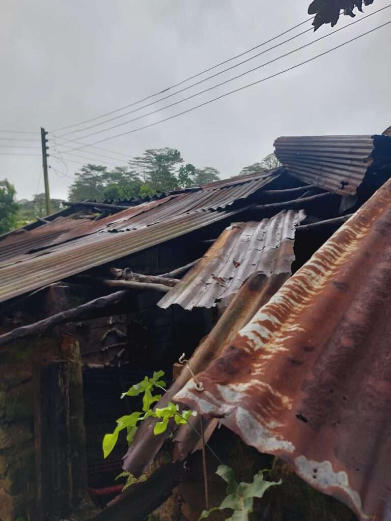 கூரையில் மரம் வீழ்ந்திருக்கும் காட்சி