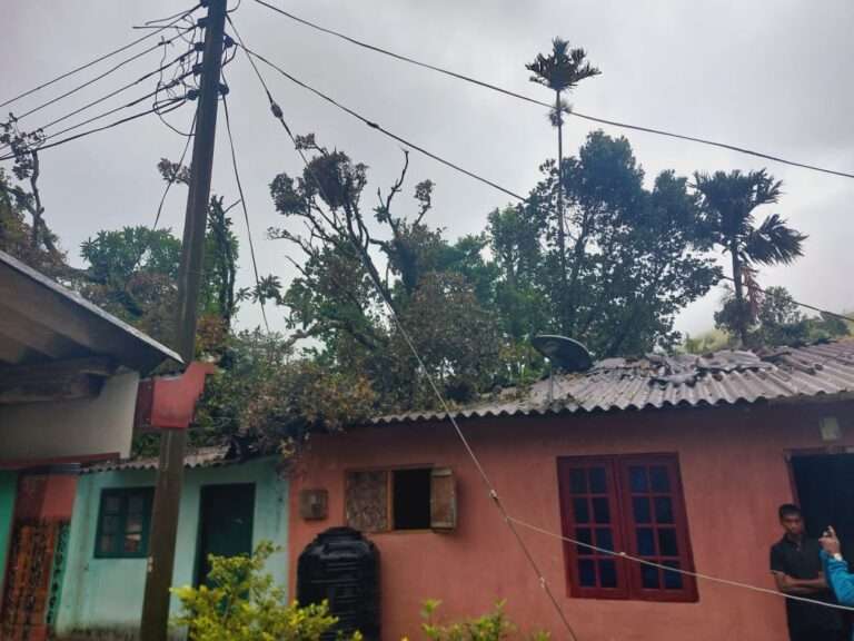 மரம் வீழ்ந்து குடியிருப்புகள் சேதம்