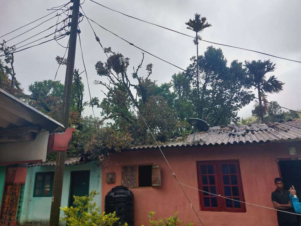 மரம் வீழ்ந்து குடியிருப்புகள் சேதம்