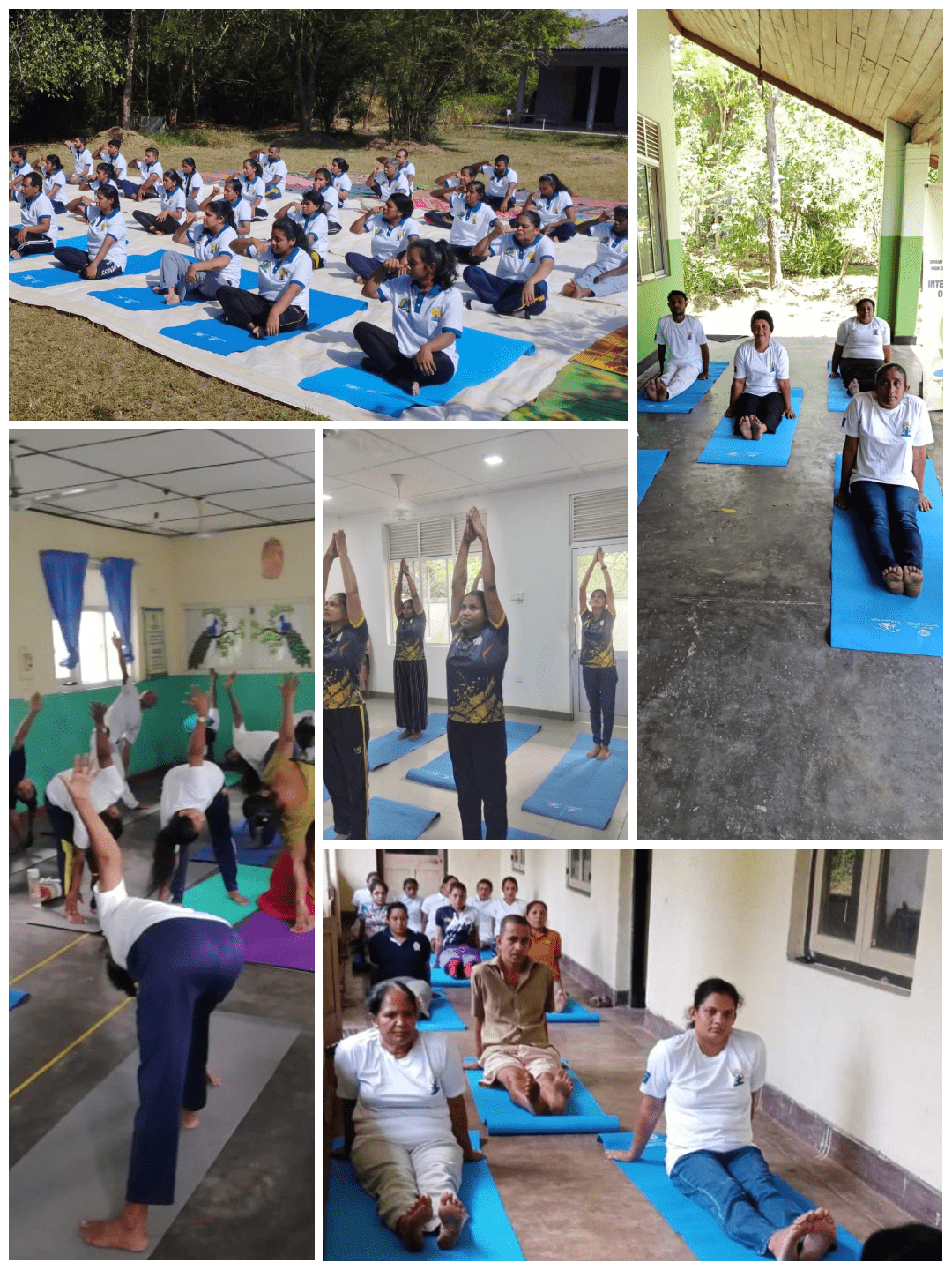 ஆயுள்வேத மருத்துவமனைகளில் சர்வதேச யோகா தின நிகழ்சிகள்