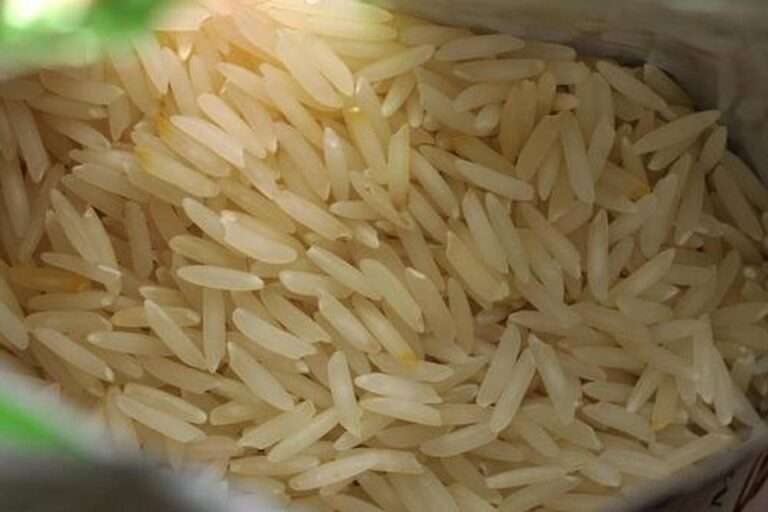 இந்திய பாஸ்மதி அரிசி ஏற்றுமதியில் நெருக்குவாரம்