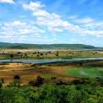 நைஜீரிய துப்பாக்கிச் சூட்டில் 100பேர் உயிரிழப்பு