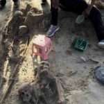 குழந்தைகளின் எலும்புக் கூடுகளும் மீட்பு