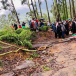 மரக்கிளை வீழந்து குடும்பஸ்தர் பலி
