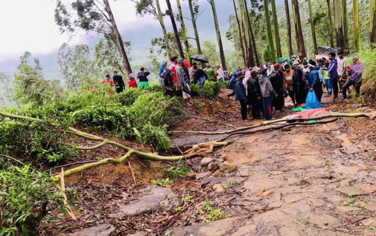 மரக்கிளை வீழந்து குடும்பஸ்தர் பலி