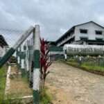 தேயிலைக் கொழுந்து திருடிய சின்ன துரை