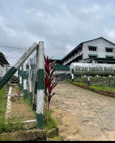 தேயிலைக் கொழுந்து திருடிய சின்ன துரை