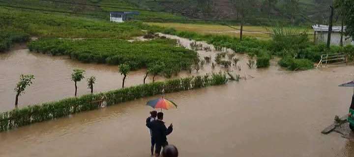 சாமிமலை கவரவலை சந்தியில் வெள்ளம்