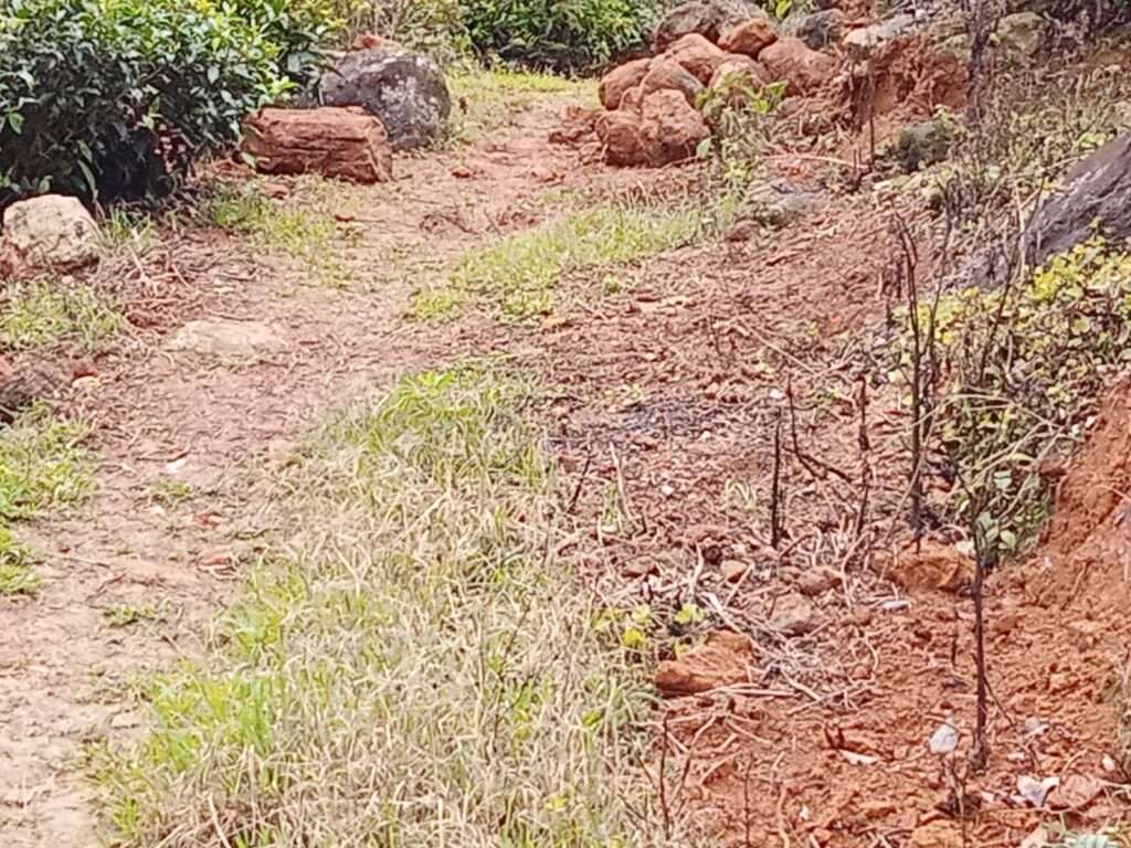 குறுக்குப் பாதைக்குக் குறுக்கே நிற்கும் கே.பி