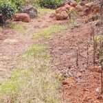 குறுக்குப் பாதைக்குக் குறுக்கே நிற்கும் கே.பி