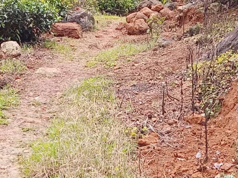 குறுக்குப் பாதைக்குக் குறுக்கே நிற்கும் கே.பி