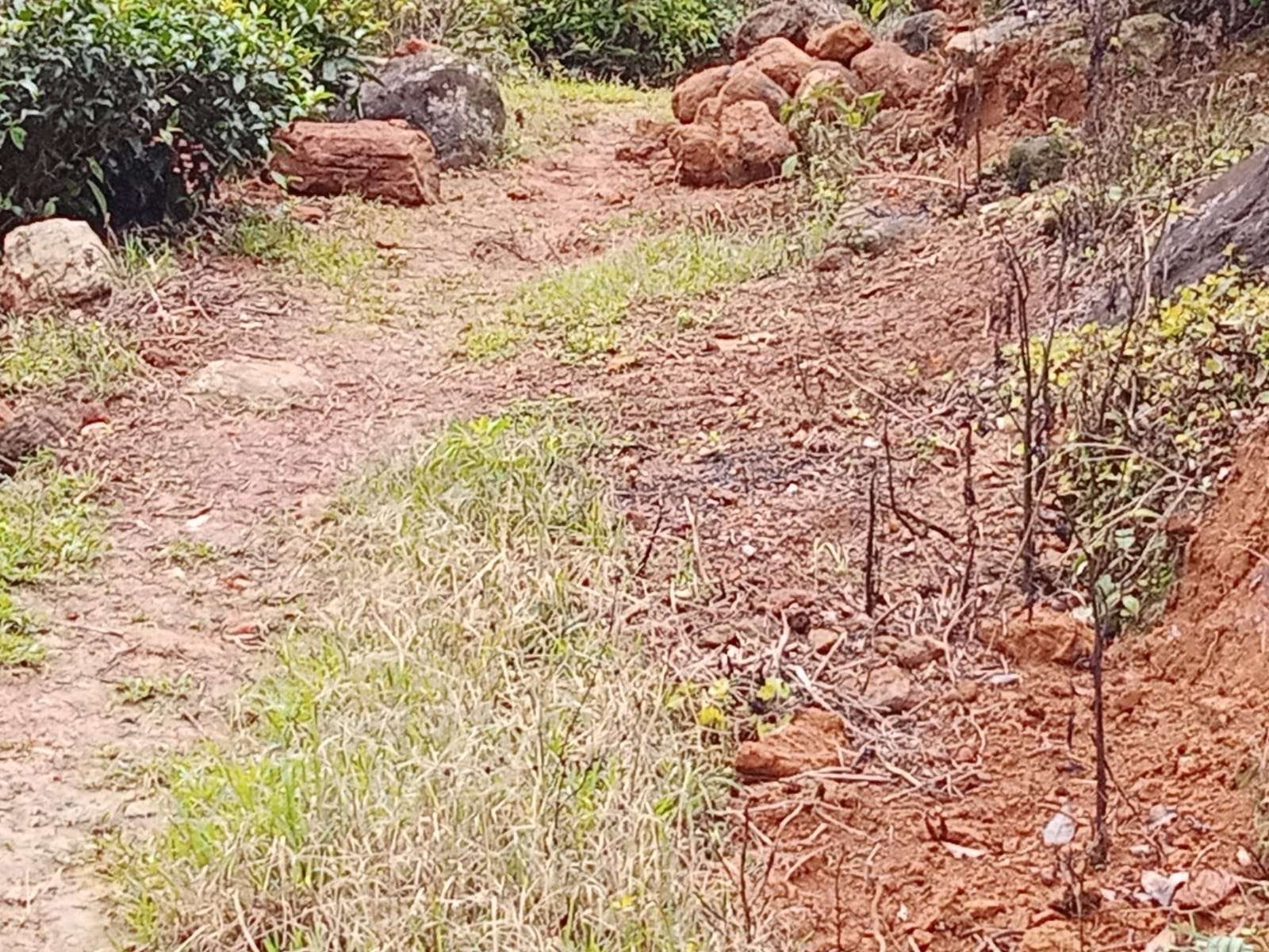 குறுக்குப் பாதைக்குக் குறுக்கே நிற்கும் கே.பி