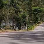 நல்லதண்ணி-மஸ்கெலியா வீதியில் இரும்பு வேலி தேவை