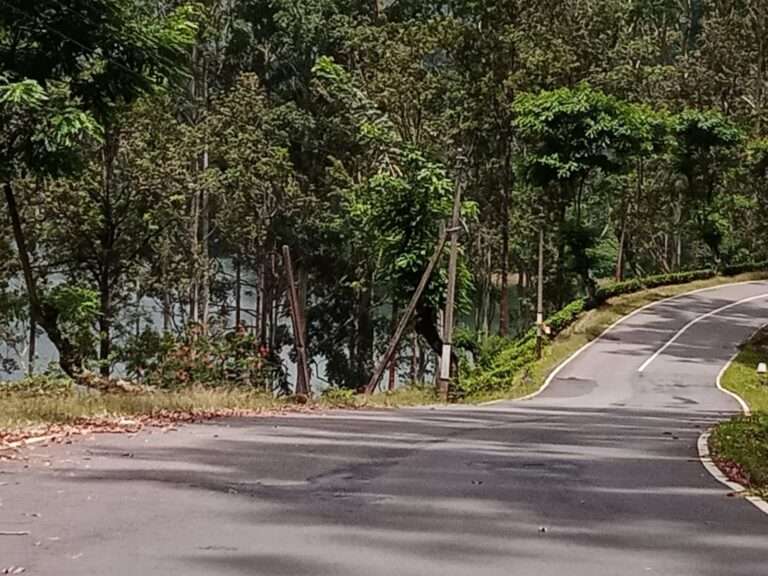 நல்லதண்ணி-மஸ்கெலியா வீதியில் இரும்பு வேலி தேவை