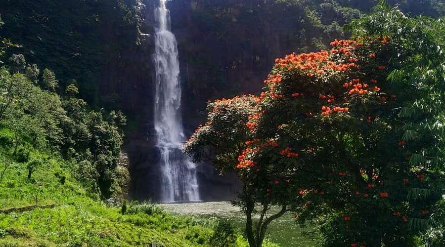 கார்ட்மோர் அருவிப்பகுதி சுற்றுலாத் தளமாக அபிவிருத்தி