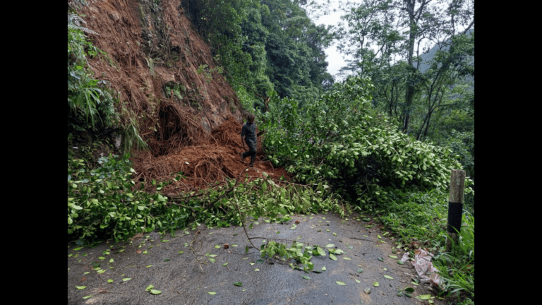 லக்‌ஸபான போக்குவரத்து இயல்பு நிலை
