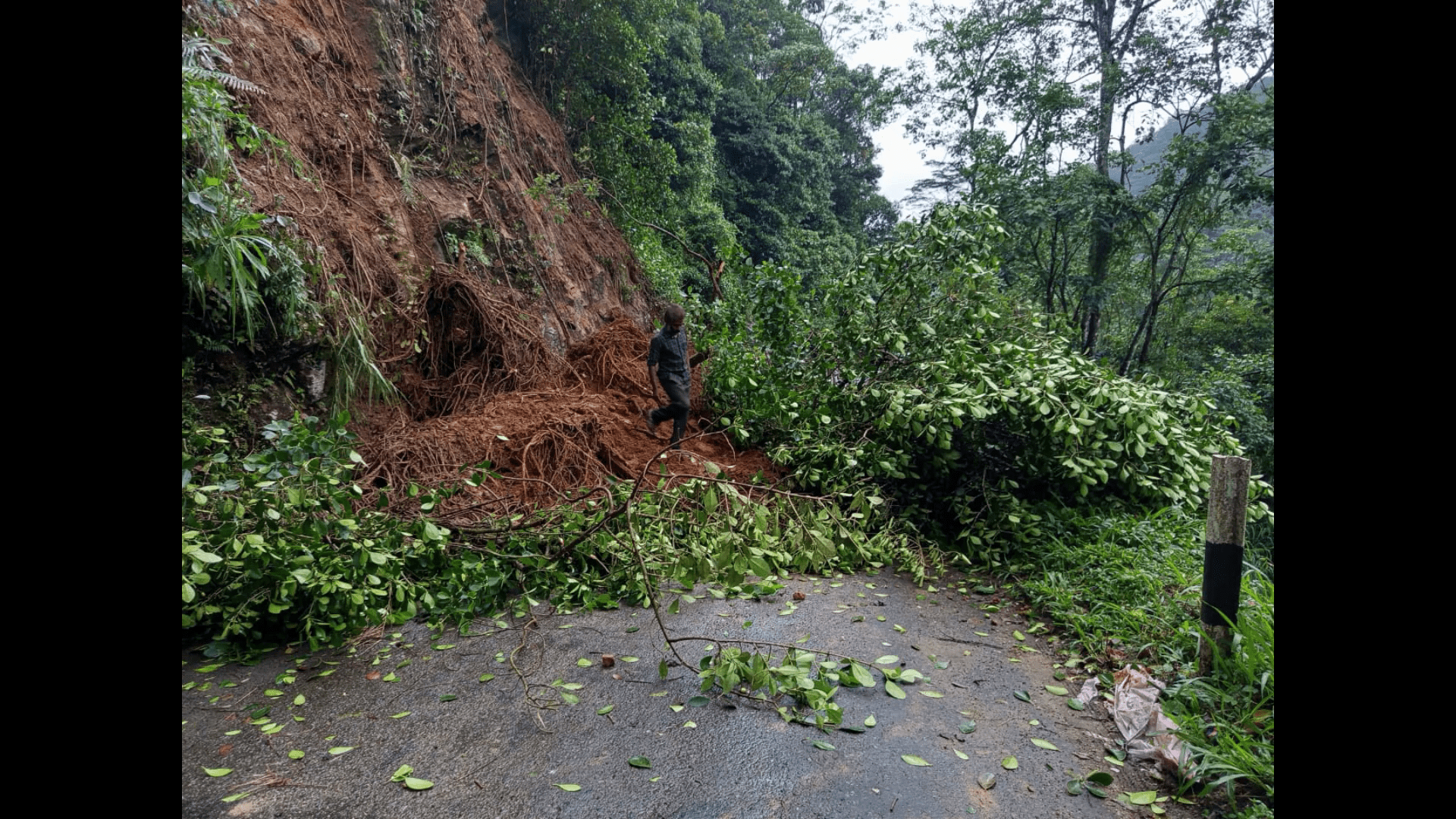 லக்‌ஸபான போக்குவரத்து இயல்பு நிலை