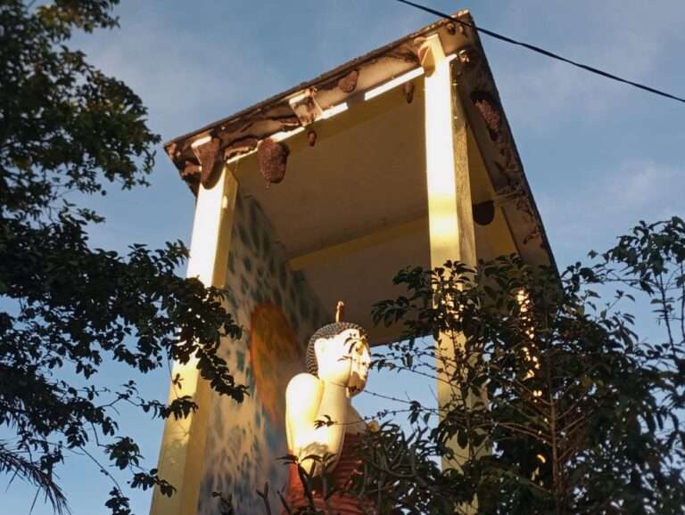 சிவனொளிபாதமலை பாதையிலுள்ள குளவிக் கூடுகளை அகற்ற கோரிக்கை