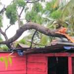 ஆரையம்பதியில் மினி சூறாவளி