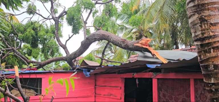 ஆரையம்பதியில் மினி சூறாவளி