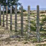 வடக்கு, கிழக்கில் 500 ஏக்கருக்கும் அதிகமான காணிகள் விடுவிப்பு