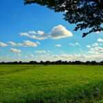 இன்று மழைக்கு வாய்ப்பு இல்லை!