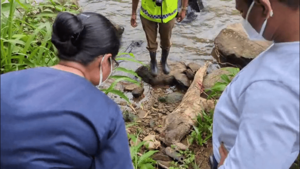 மேல் கொத்மலை நீர்த்தேக்கத்திற்கு நீர் ஏந்திச் செல்லும் கொத்மலை ஓயாவில் (08) அடையாளம் தெரியாத நபர் ஒருவரின் சடலம் மீட்கப்பட்டுள்ளதாக லிந்துலை பொலிஸார் தெரிவித்தனர்.