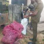 பெருந்தொகையான பெரிய வெங்காயம் அழிப்பு