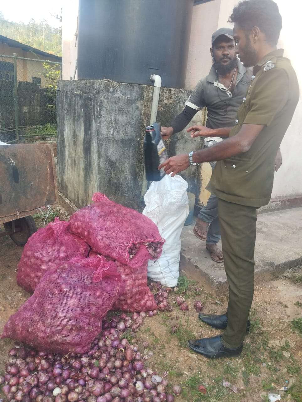 பெருந்தொகையான பெரிய வெங்காயம் அழிப்பு