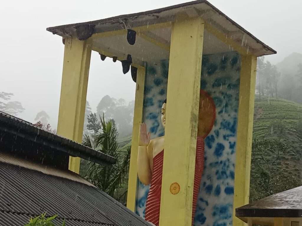 சிவனடி பாத மலைக்கு செல்லும் பிரதான சாலையில் பாரிய அளவில் குளவி கூடுகள்.