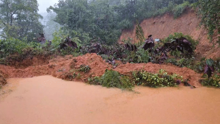 வெலிமடையில் பாரிய மண்சரிவு: இரண்டு சடலங்கள் மீட்பு