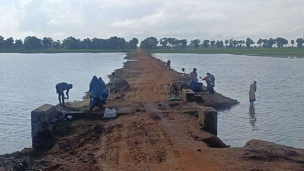 மட்டக்களப்பு மாவட்டத்தில் நன்னீர் மீன்களுக்கு கிராக்கி