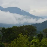 பதுளையில் மேலும் 238 குடும்பங்கள் வௌியேற்றம்!