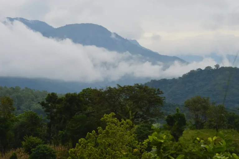 பதுளையில் மேலும் 238 குடும்பங்கள் வௌியேற்றம்!