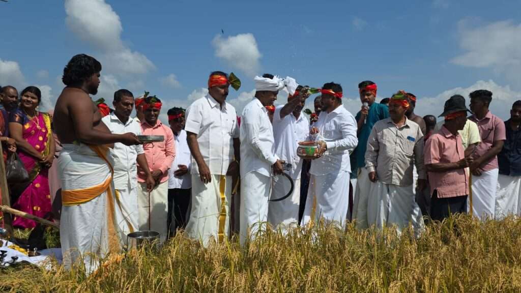 நாவிதன்வெளியில் களைகட்டிய பாரம்பரிய தைப்பொங்கல் திருவிழா!
