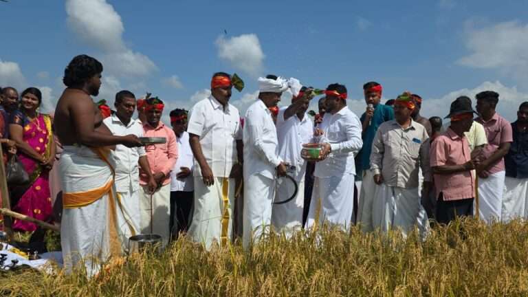 நாவிதன்வெளியில் களைகட்டிய பாரம்பரிய தைப்பொங்கல் திருவிழா!