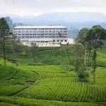 ஹற்றன் டன்கெல்ட் தேயிலைத் தொழிற்சாலை முன்னிலை