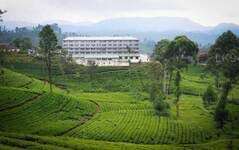 ஹற்றன் டன்கெல்ட் தேயிலைத் தொழிற்சாலை முன்னிலை