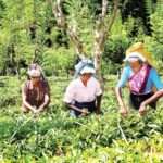 சம்பள உயர்வைக் குழப்பியடிக்கும் மெத்த படித்த மேதாவி!