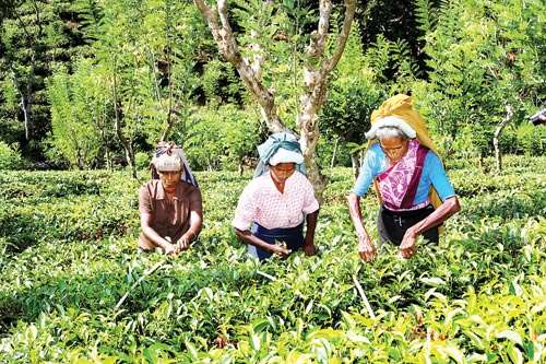 சம்பள உயர்வைக் குழப்பியடிக்கும் மெத்த படித்த மேதாவி!