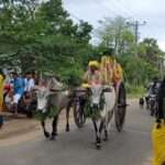 நெல்லிக்காடு நாகன்னி அம்மன் ஆலயத்தில் நெற்புதிர் பூஜை