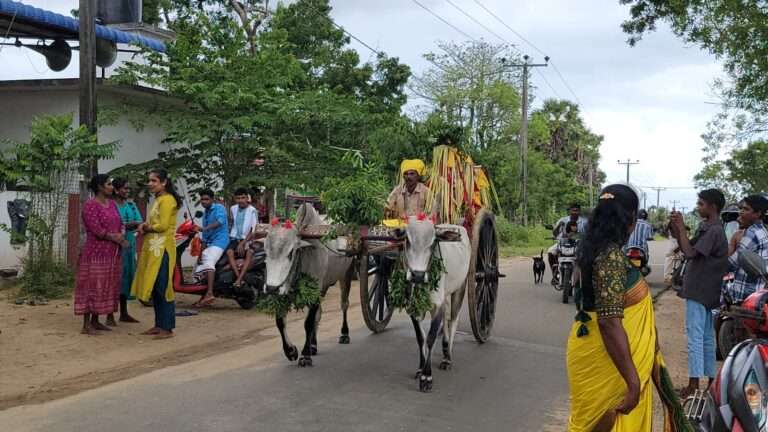 நெல்லிக்காடு நாகன்னி அம்மன் ஆலயத்தில் நெற்புதிர் பூஜை