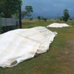 மட்டக்களப்பில் கடும் மழையால் அறுவடைப் பணிகள் பாதிப்பு