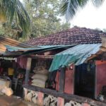 மட்டக்களப்பு முனைக்காட்டில் காட்டு யானை தாக்கி பெண் உயிரிழப்பு