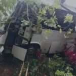 இந்திய பயணிகள் சென்ற பஸ் விபத்து: பெண் உயிரிழப்பு