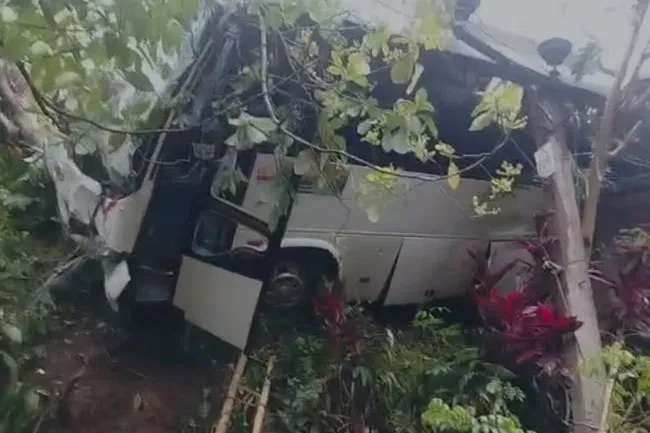 இந்திய பயணிகள் சென்ற பஸ் விபத்து: பெண் உயிரிழப்பு