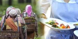 ஹோட்டல் தொழிலைக் கைவிட்டுத் தோட்டம் திரும்பும் இளையோர்